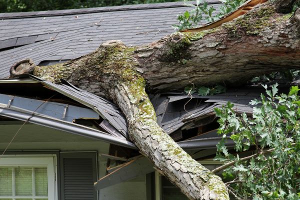 Storm Remediation in Warrenton