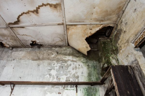 Water Damage Service in Warrenton