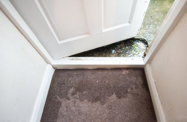 Wet Carpet Restoration in Warrenton