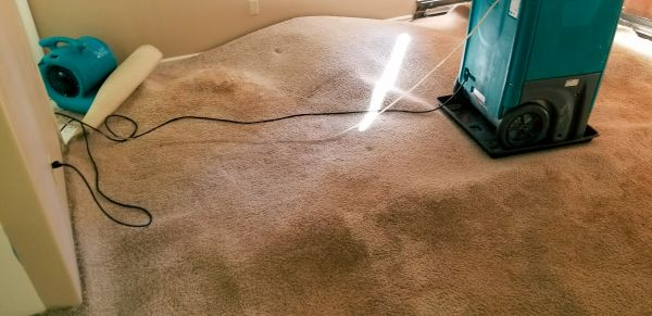 Carpet Water Extraction in Warrenton