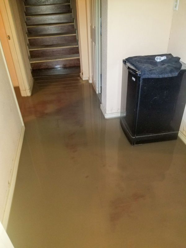 Basement Water Damage Service